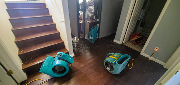 Best Basement water damage restoration  in Upper Exeter, PA