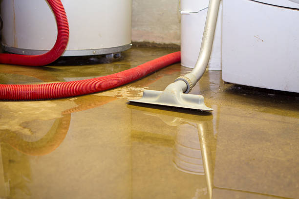 Best Water damage repair service  in Upper Exeter, PA